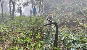 Demand for action against officials in plantation destruction case Madikeri. 